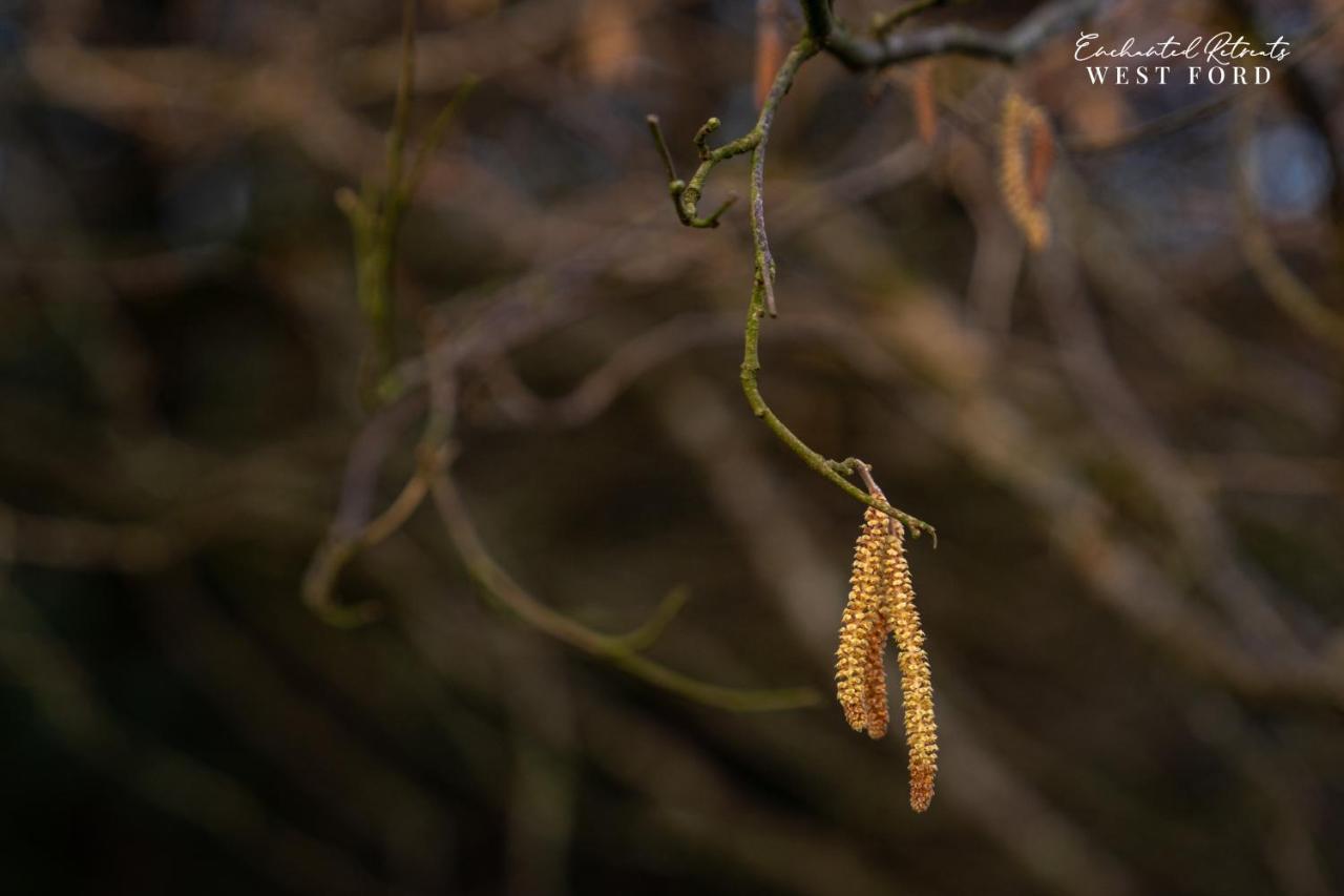 Enchanted Retreats At West Ford Devon South Molton Bagian luar foto